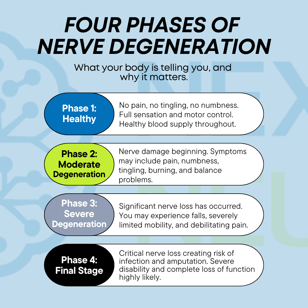 Featured image for “The Four Phases of Nerve Degeneration: What Your Symptoms Are Telling You”