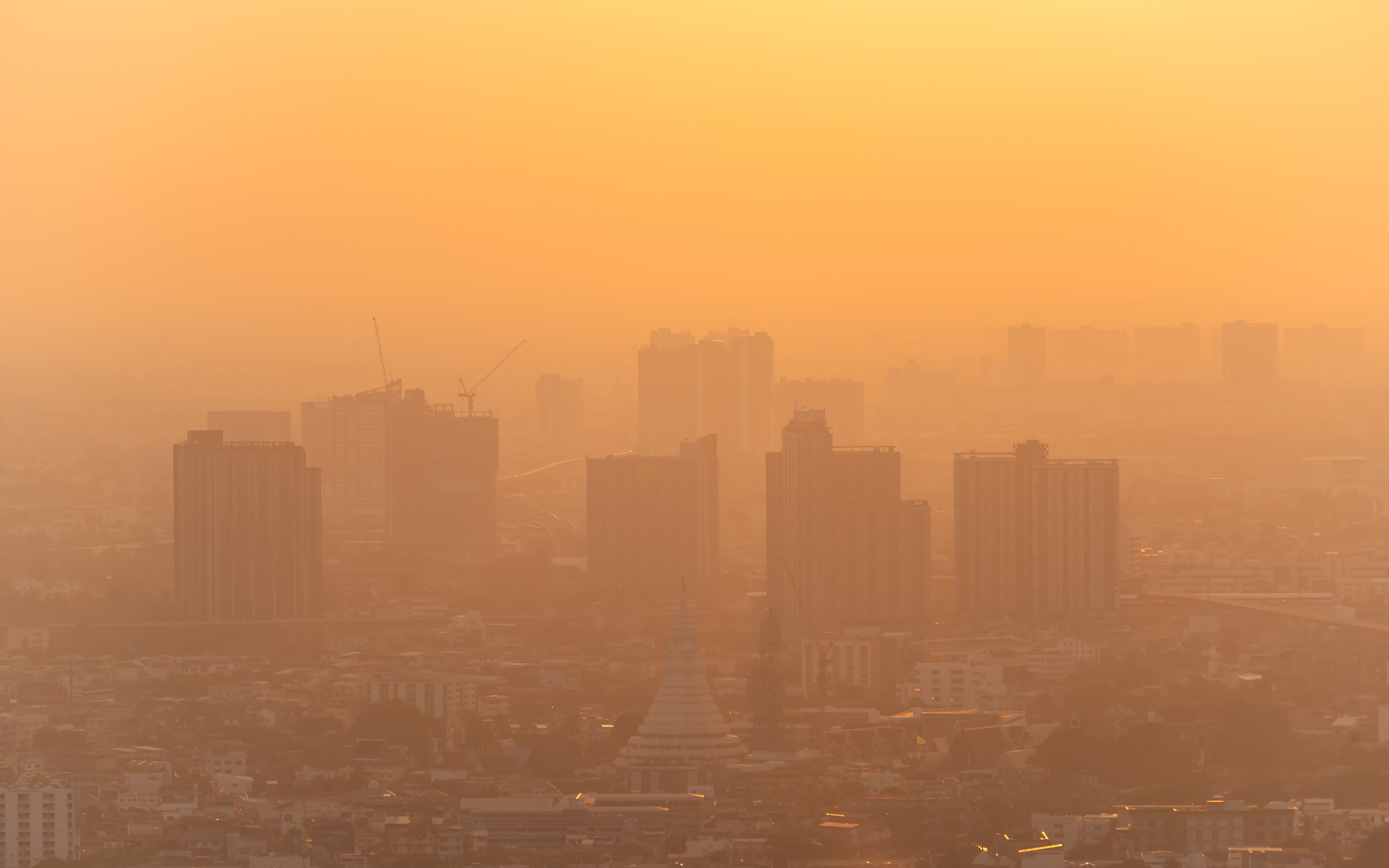Featured image for “How Poor Air Quality Affects The Nervous System”