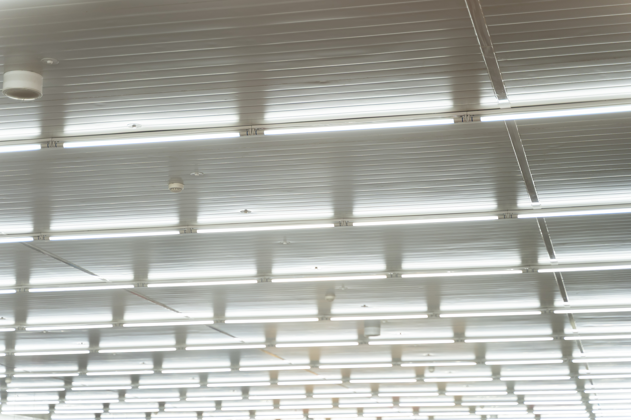 Featured image for “Why Is Light Suddenly Too Much? The Real Causes of Light Sensitivity”